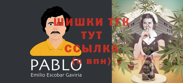 сатива Богданович