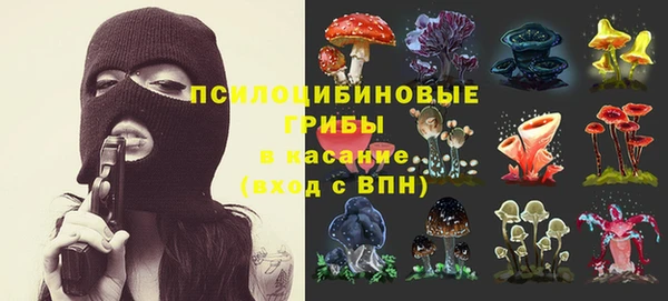 кокс Богородицк