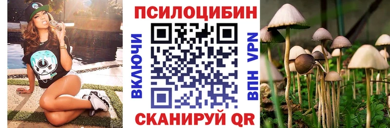 Галлюциногенные грибы GOLDEN TEACHER  площадка телеграм  Инта  купить наркотики цена 