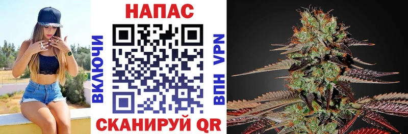 Каннабис планчик  Инта 